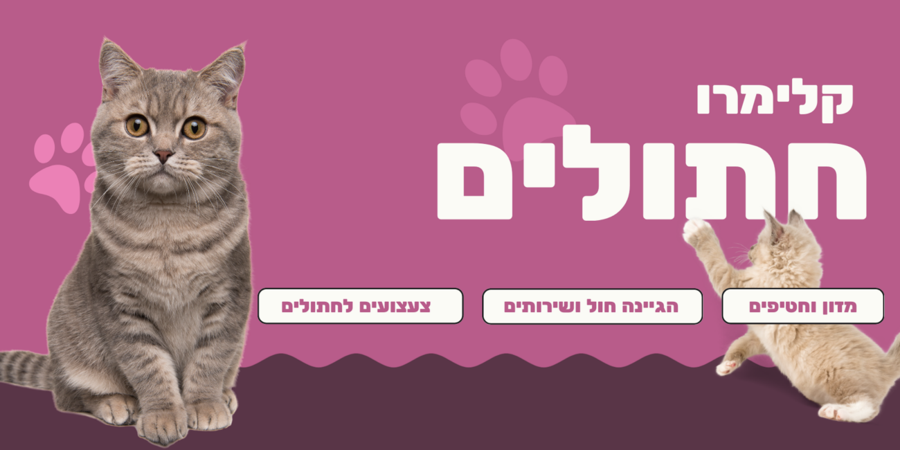 באנר חתולים - קלימרו חנות חיות