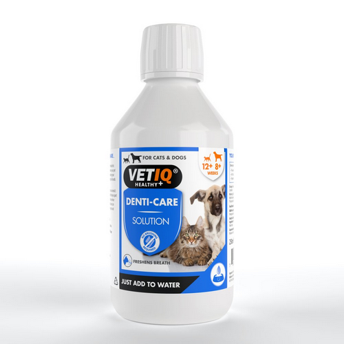 vOwwE.png מי פה לכלב VET-IQ 250 מ"ל – תמונה 1